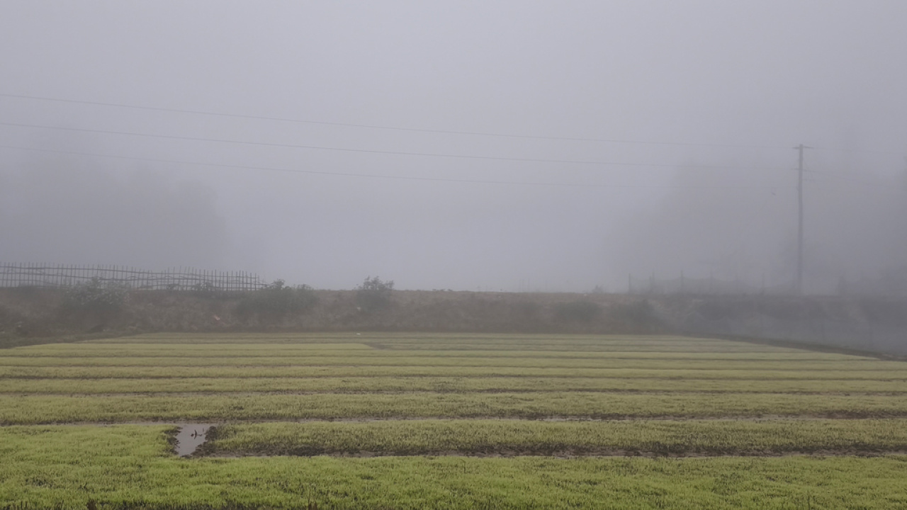 sylhet-bijtola-2.jpg
